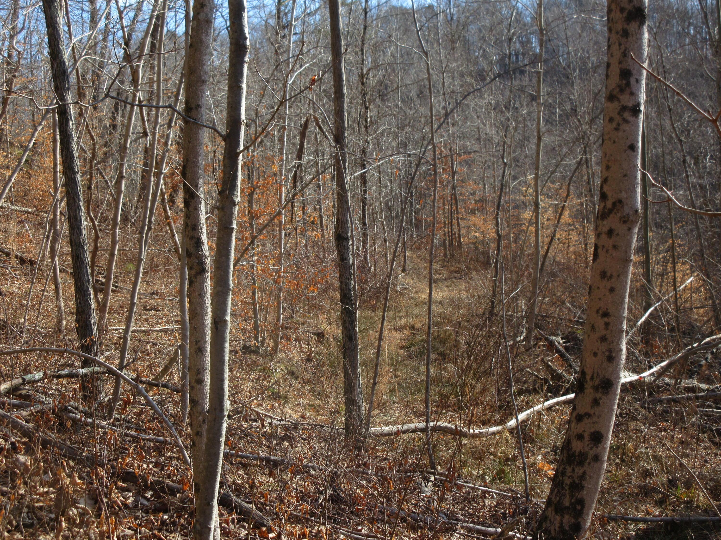 0 Green Valley Road Guysville, OH 45735 - Photo 8 of 15 Gallery Image 8