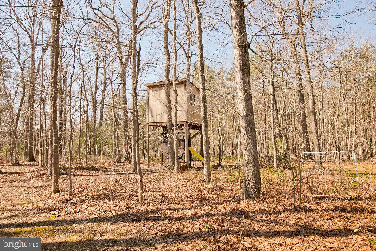 3823 Panhandle Road Front Royal, VA 22630 - Photo 50 of 62 Gallery Image 50