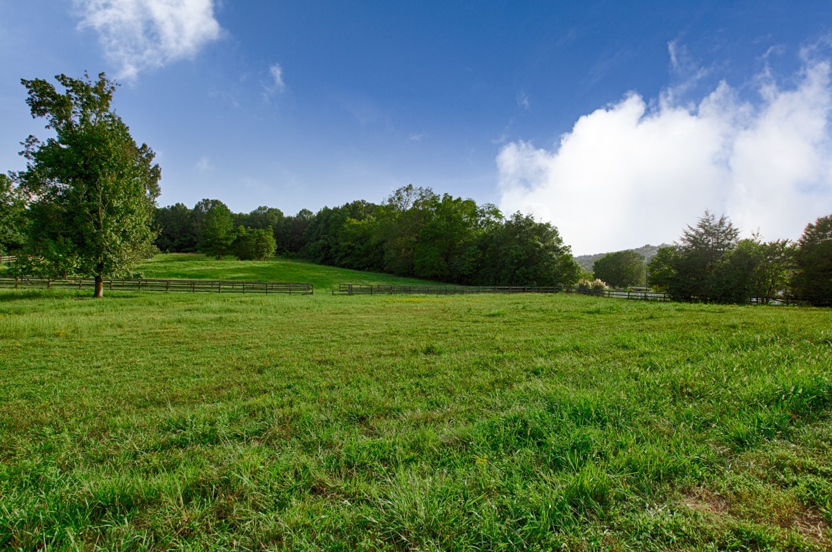 477 Holt Hollow Road Prospect, TN 38477 - Photo 24 of 34 a view of a green field with wooden fence