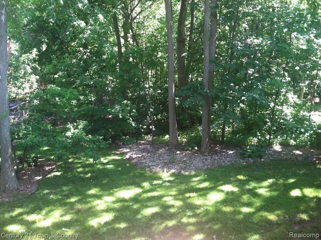 1331 Thames Drive Rochester, MI 48307 - Photo 8 of 25 IMG_1827.JPG
