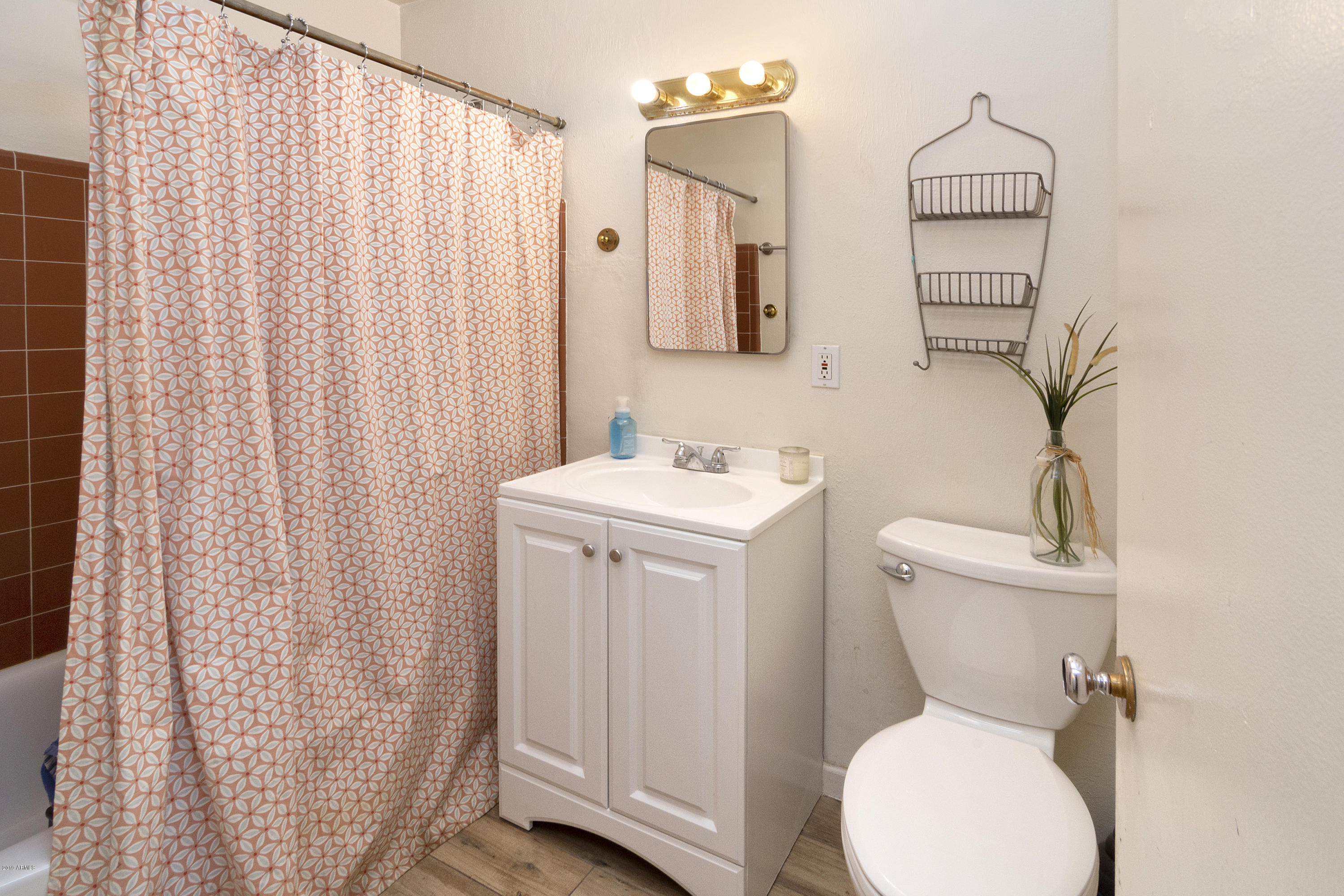 301 East Royal Palm Road Phoenix, AZ 85020 - Photo 13 of 19 Hall Bathroom