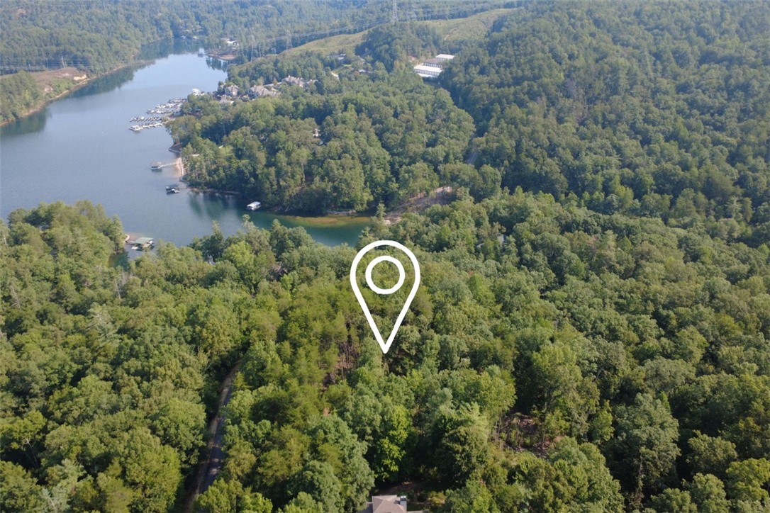 122 Teaberry Lane Sunset, SC 29685 - Photo 2 of 19