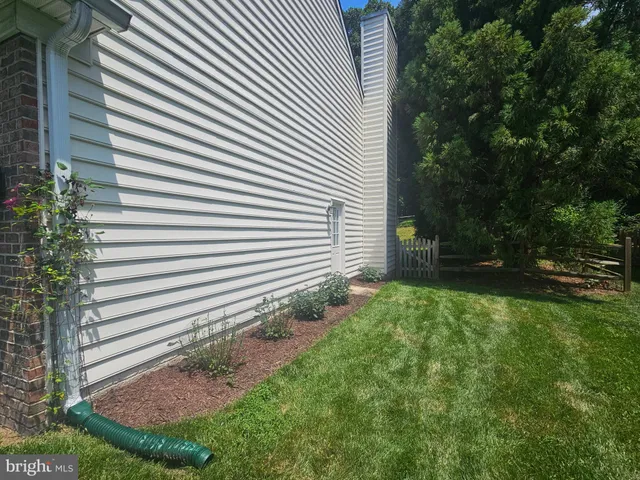 a view of a backyard with plants and large trees