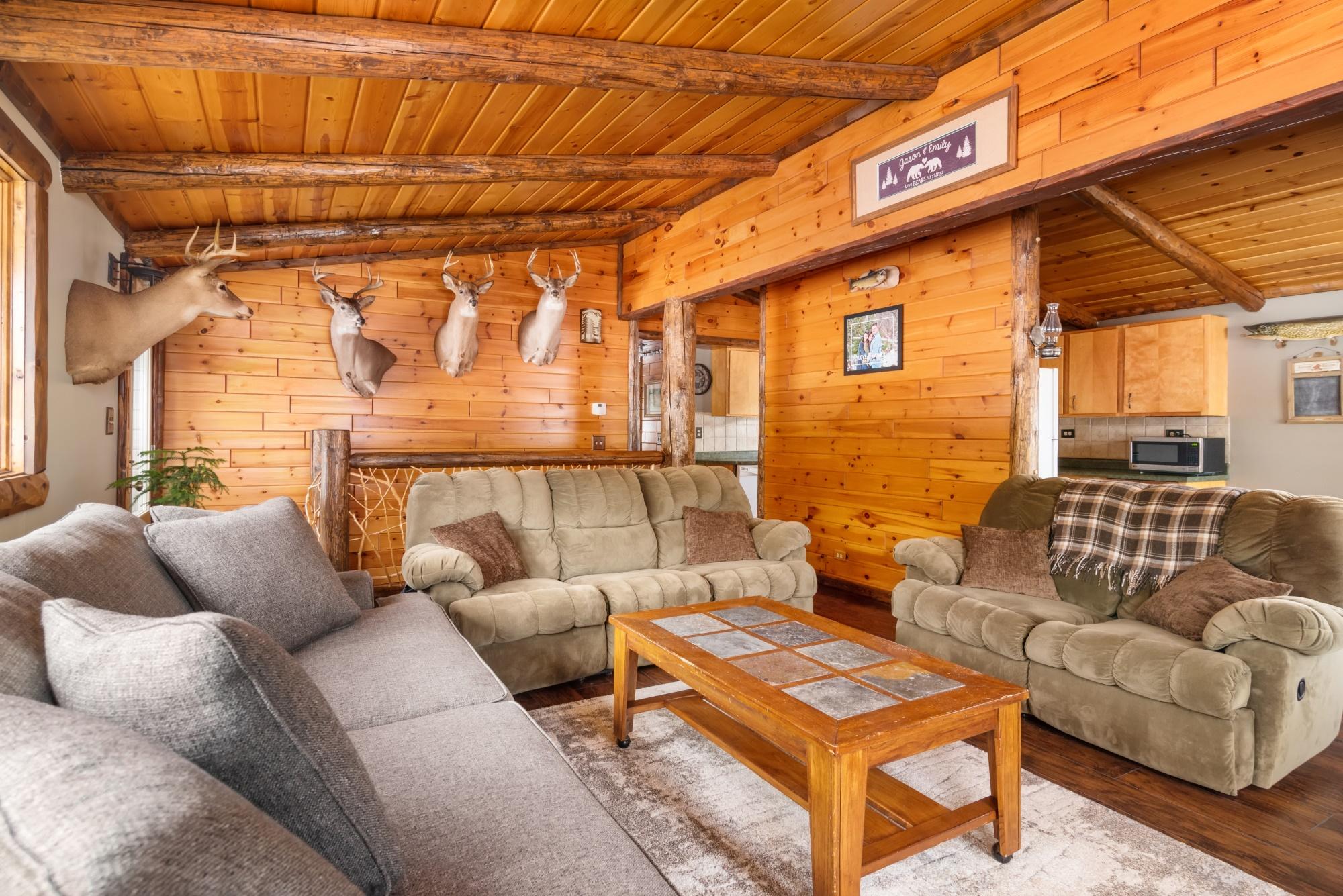 7382 Berry Creek Road Wolverine, MI 49799 - Photo 5 of 28 Gallery Image 5