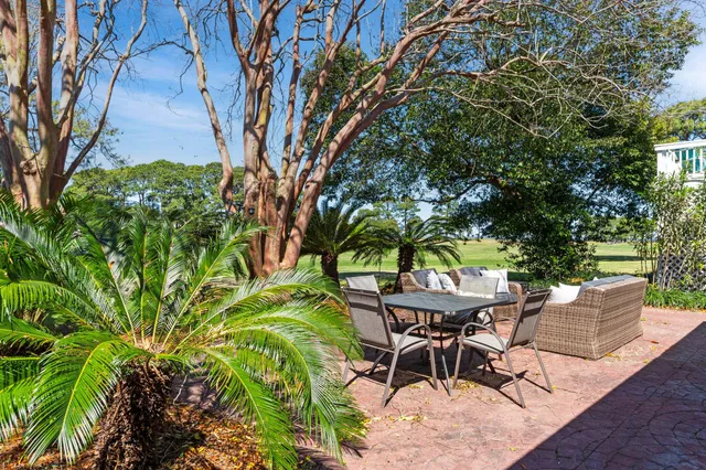a view of a garden with plants and large trees