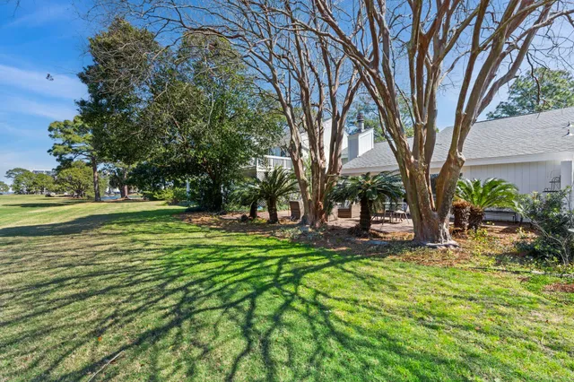 a garden with trees in the background
