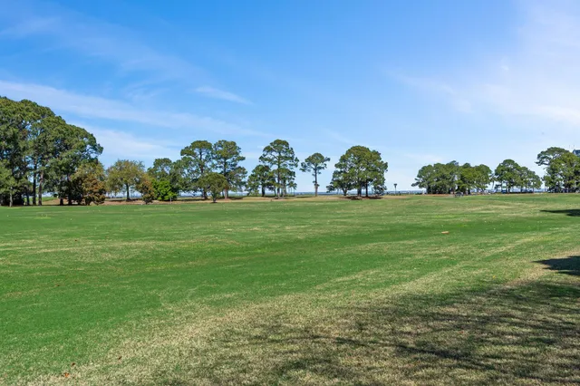 a view of a balcony with a potted plants
