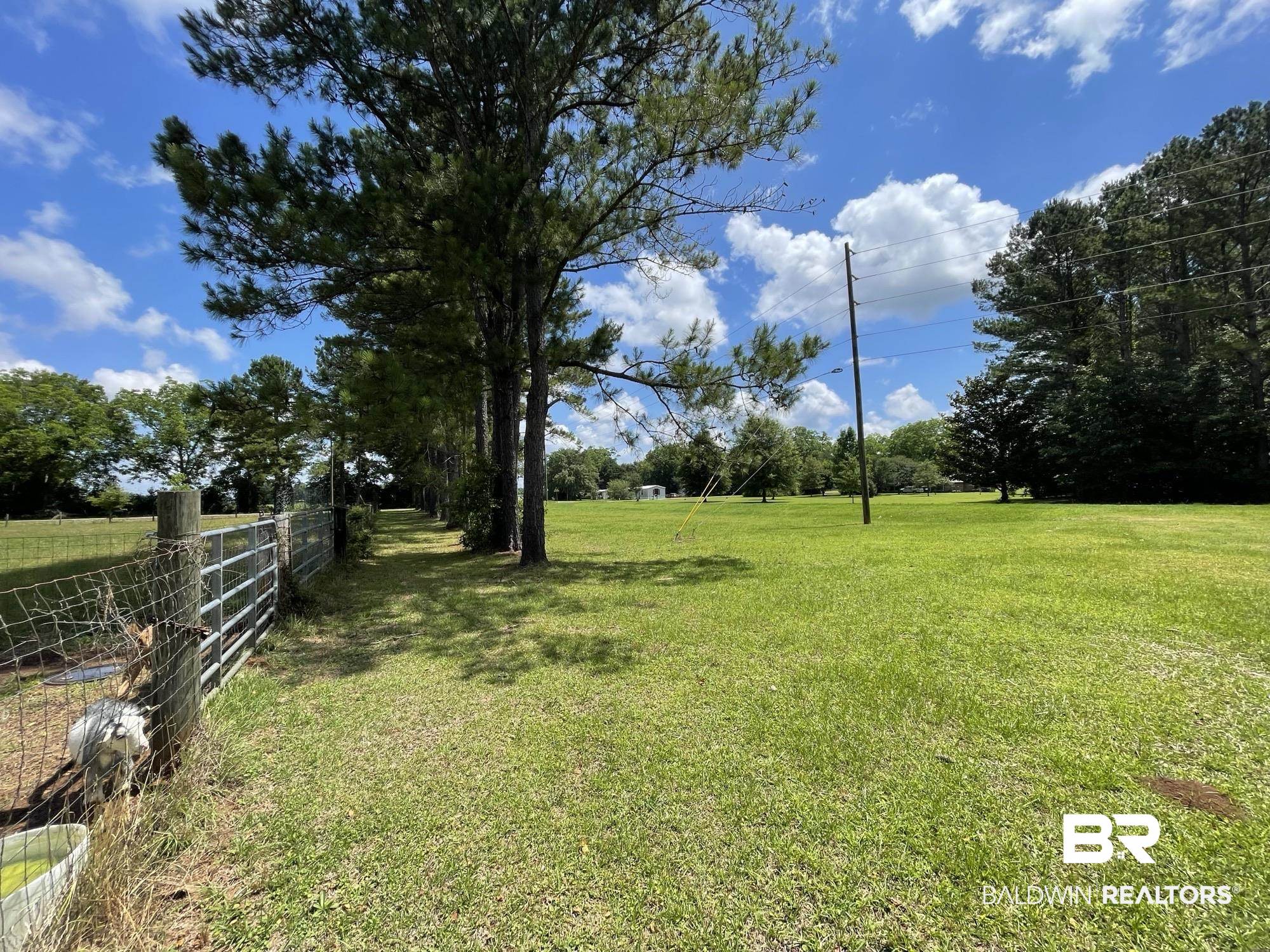0 North N Highway Century, FL 32535 - Photo 9 of 16