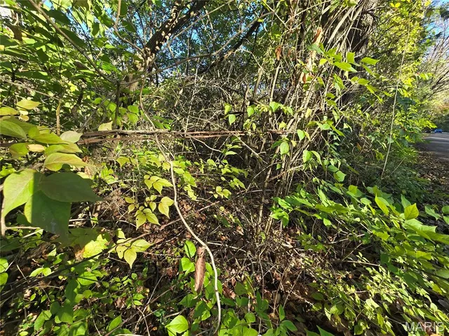 $99,000 | 3966 College Road, Farmington, MO 63640