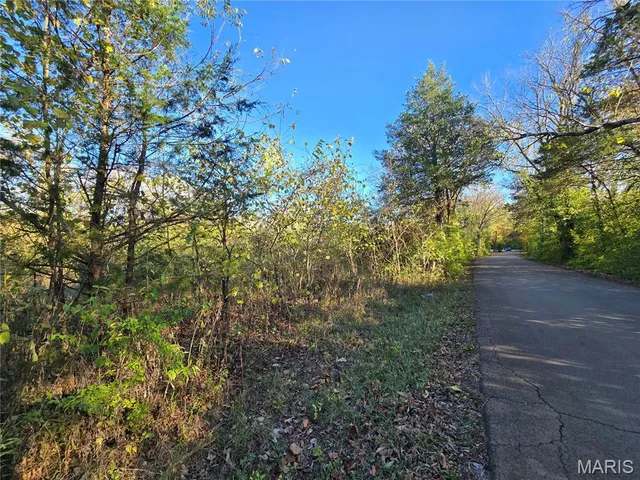 $99,000 | 3966 College Road, Farmington, MO 63640