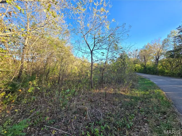 $99,000 | 3966 College Road, Farmington, MO 63640