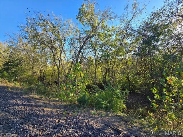 $99,000 | 3966 College Road, Farmington, MO 63640