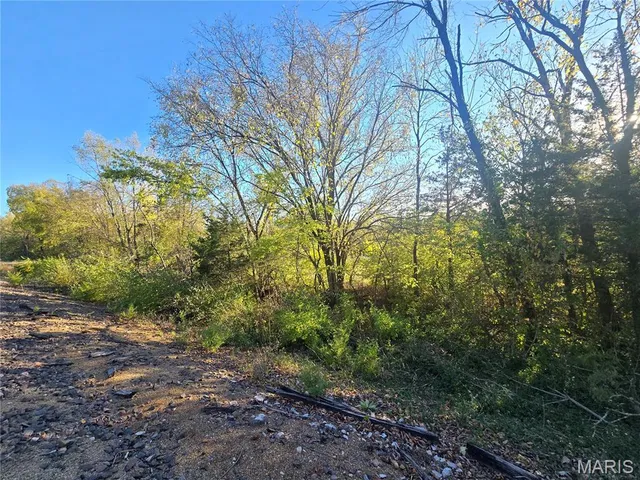 $99,000 | 3966 College Road, Farmington, MO 63640