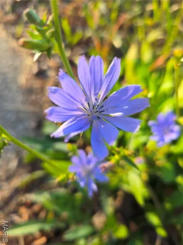 $99,000 | 3966 College Road, Farmington, MO 63640