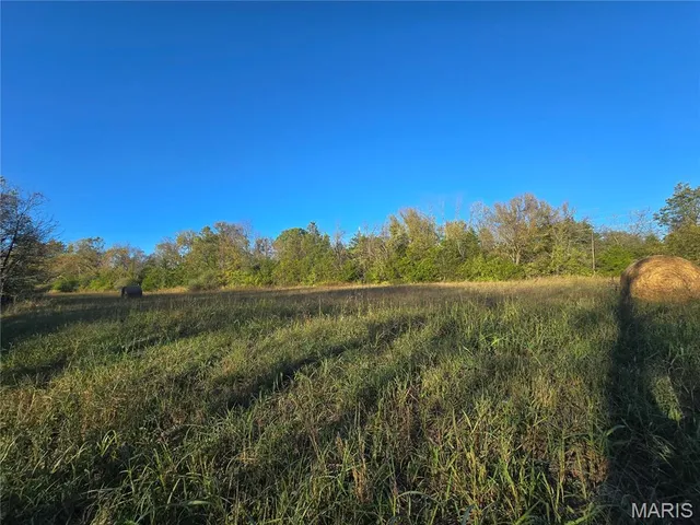 $99,000 | 3966 College Road, Farmington, MO 63640