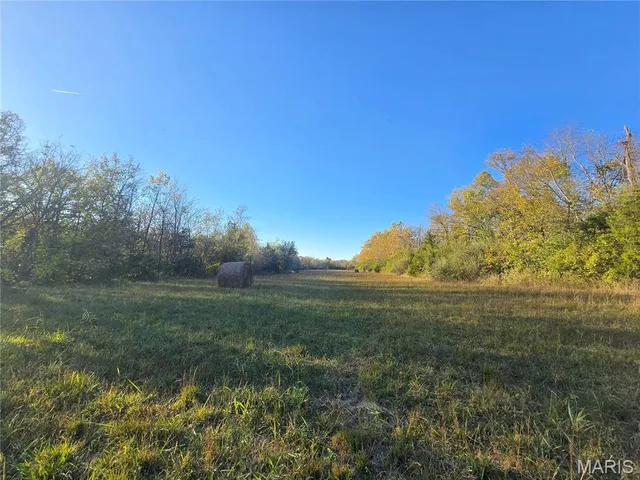 $99,000 | 3966 College Road, Farmington, MO 63640