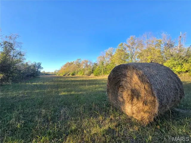 $99,000 | 3966 College Road, Farmington, MO 63640