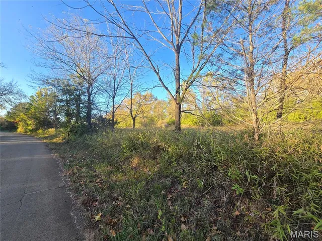 $99,000 | 3966 College Road, Farmington, MO 63640