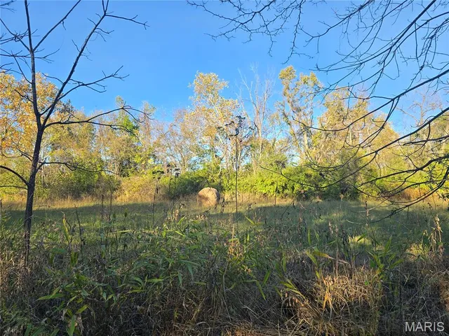 $99,000 | 3966 College Road, Farmington, MO 63640