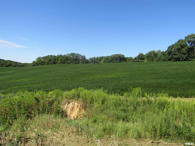 $237,000 | 0 North N Highway, Unit COUNTY, Lewistown, IL 61542