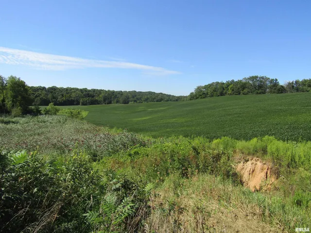 $237,000 | 0 North N Highway, Unit COUNTY, Lewistown, IL 61542