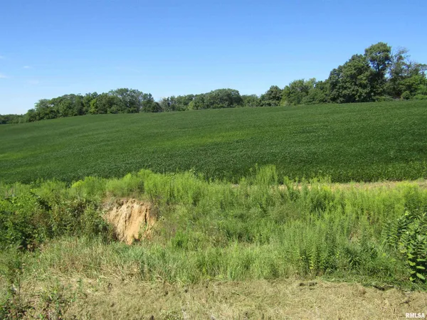 $237,000 | 0 North N Highway, Unit COUNTY, Lewistown, IL 61542