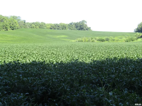 $237,000 | 0 North N Highway, Unit COUNTY, Lewistown, IL 61542