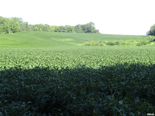 $237,000 | 0 North N Highway, Unit COUNTY, Lewistown, IL 61542