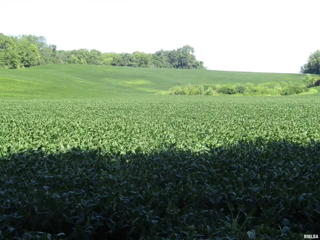 $237,000 | 0 North N Highway, Unit COUNTY, Lewistown, IL 61542