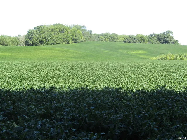 $237,000 | 0 North N Highway, Unit COUNTY, Lewistown, IL 61542