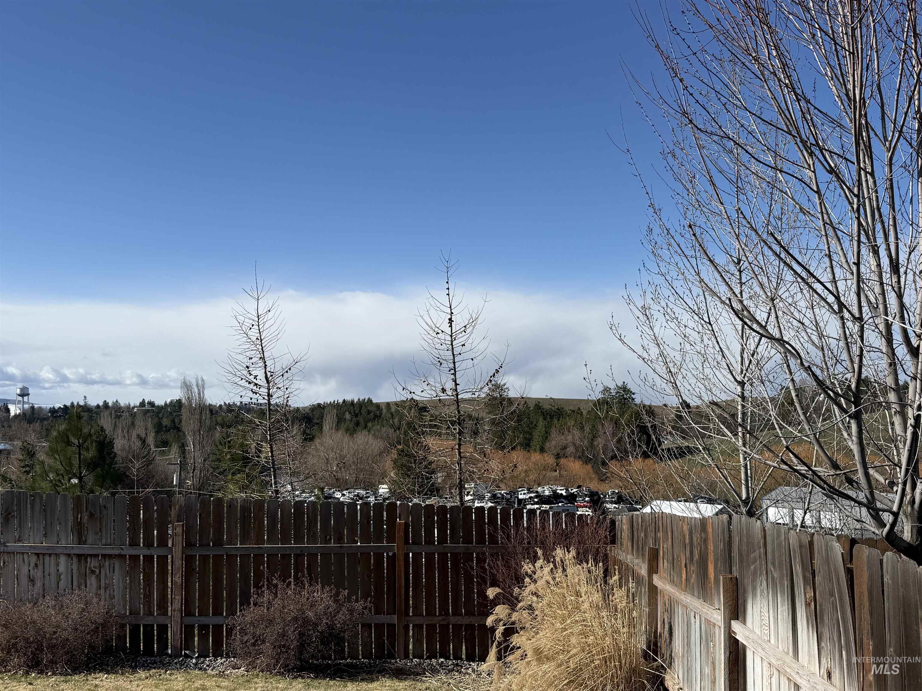 257 Pintail Lane Moscow, ID 83843 - Photo 18 of 28 View of yard