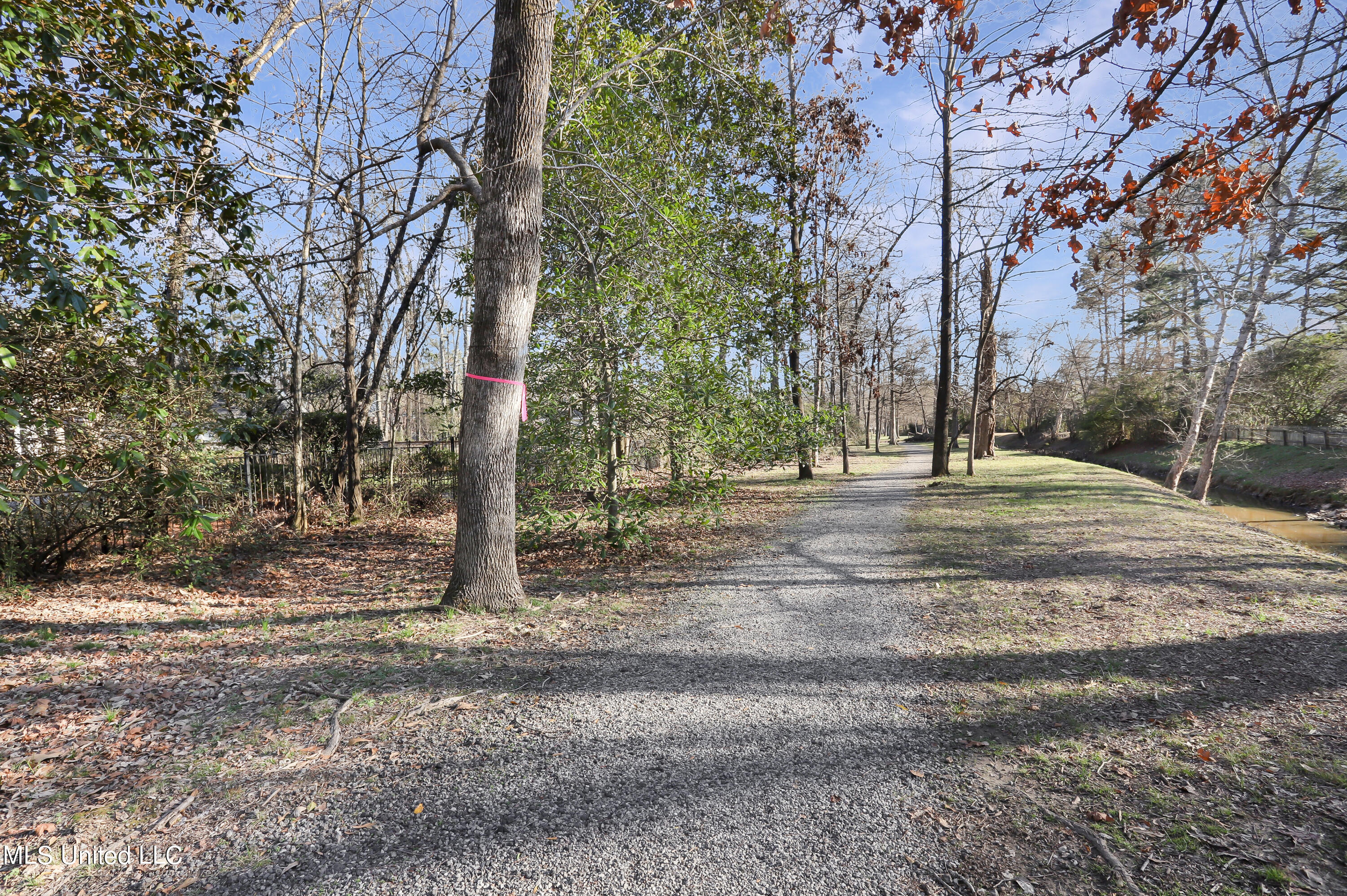 203 Devander Run Ridgeland, MS 39157 - Photo 27 of 27 IMG_0928