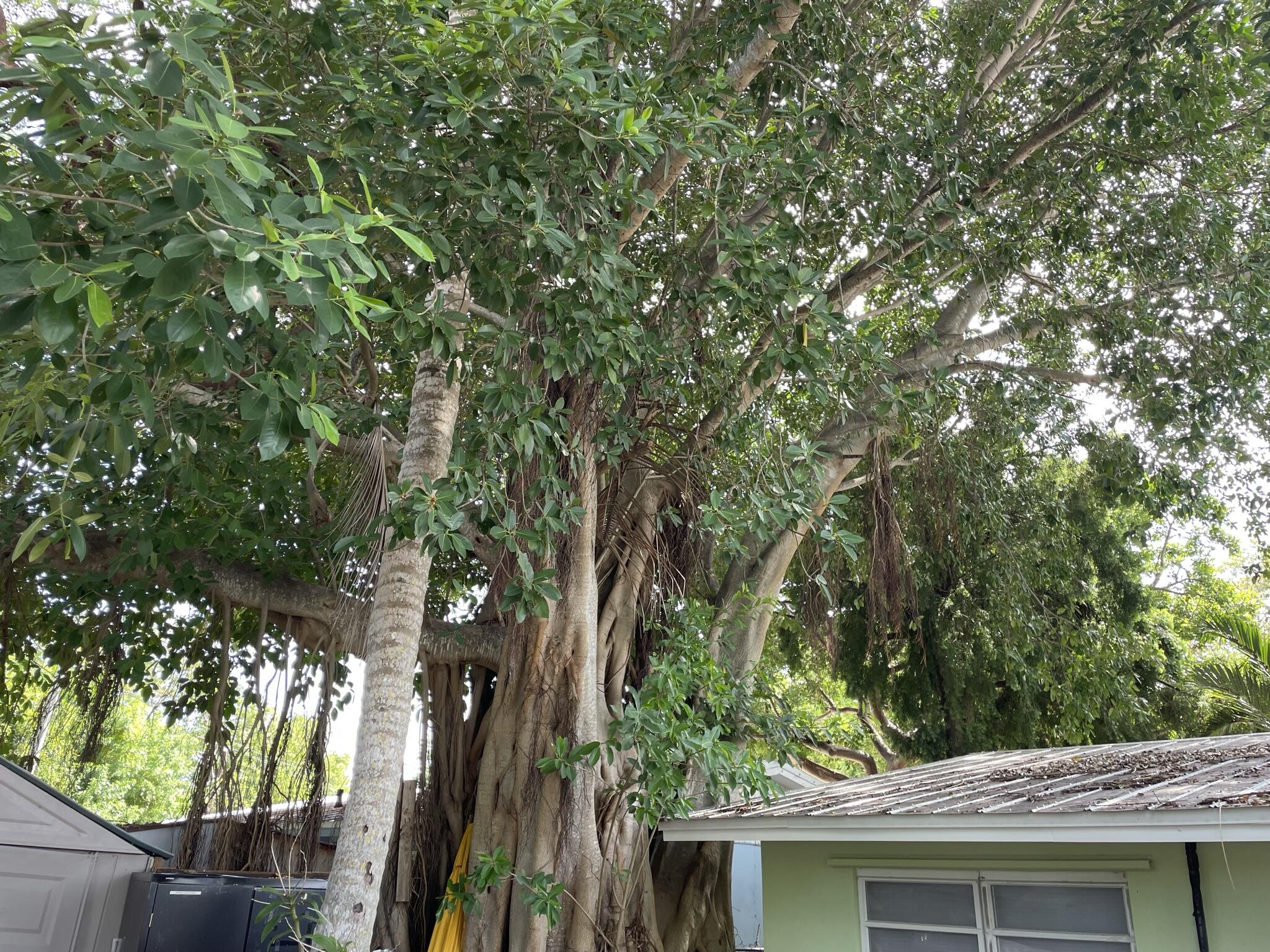 664 Colson Drive Key Largo, FL 33037 - Photo 35 of 36