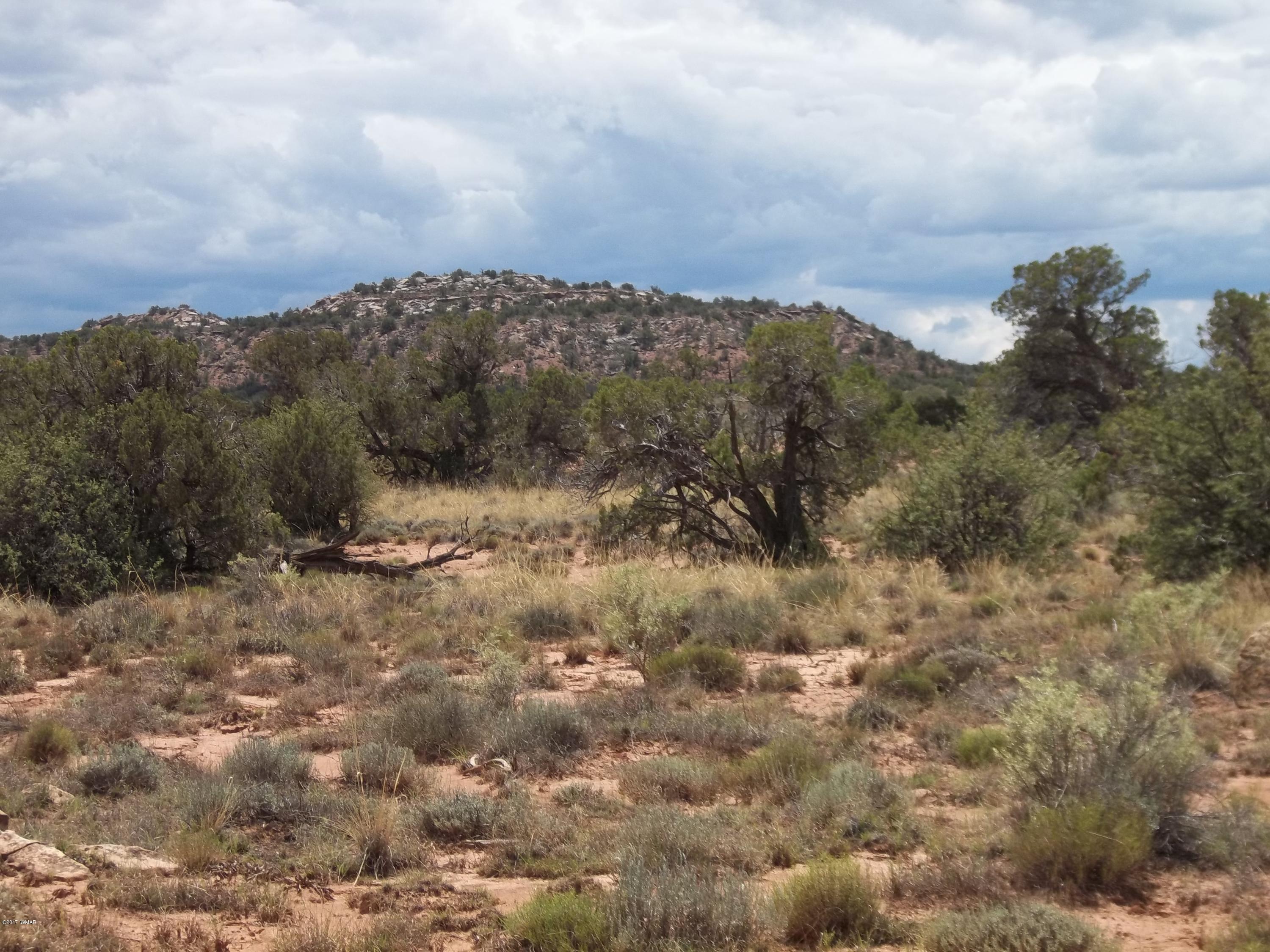 4002 Cortez Road, Unit 4 Snowflake, AZ 85937 - Photo 1 of 29 a view of mountain covered with fog