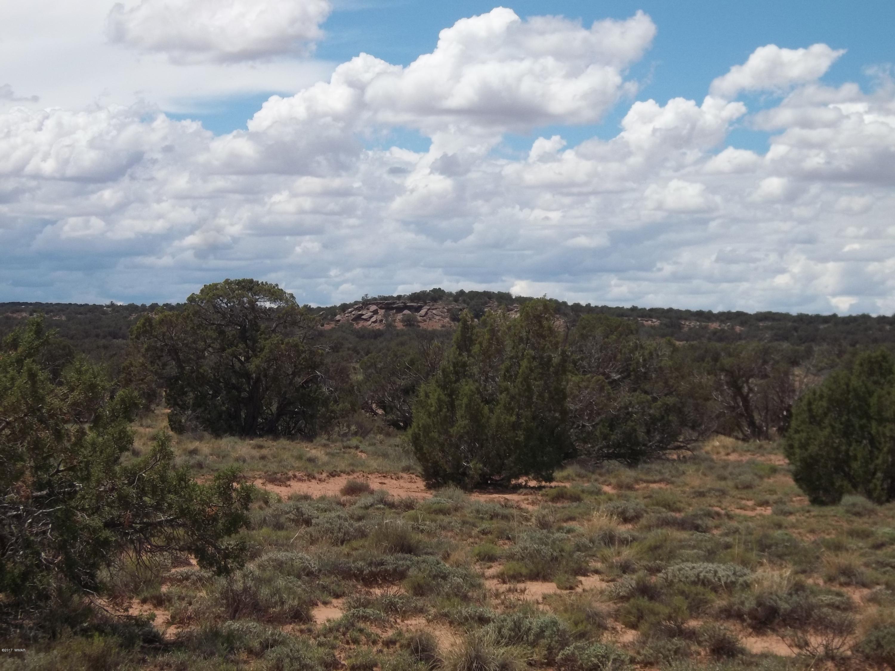 4002 Cortez Road, Unit 4 Snowflake, AZ 85937 - Photo 19 of 29 a view of a dry yard with trees