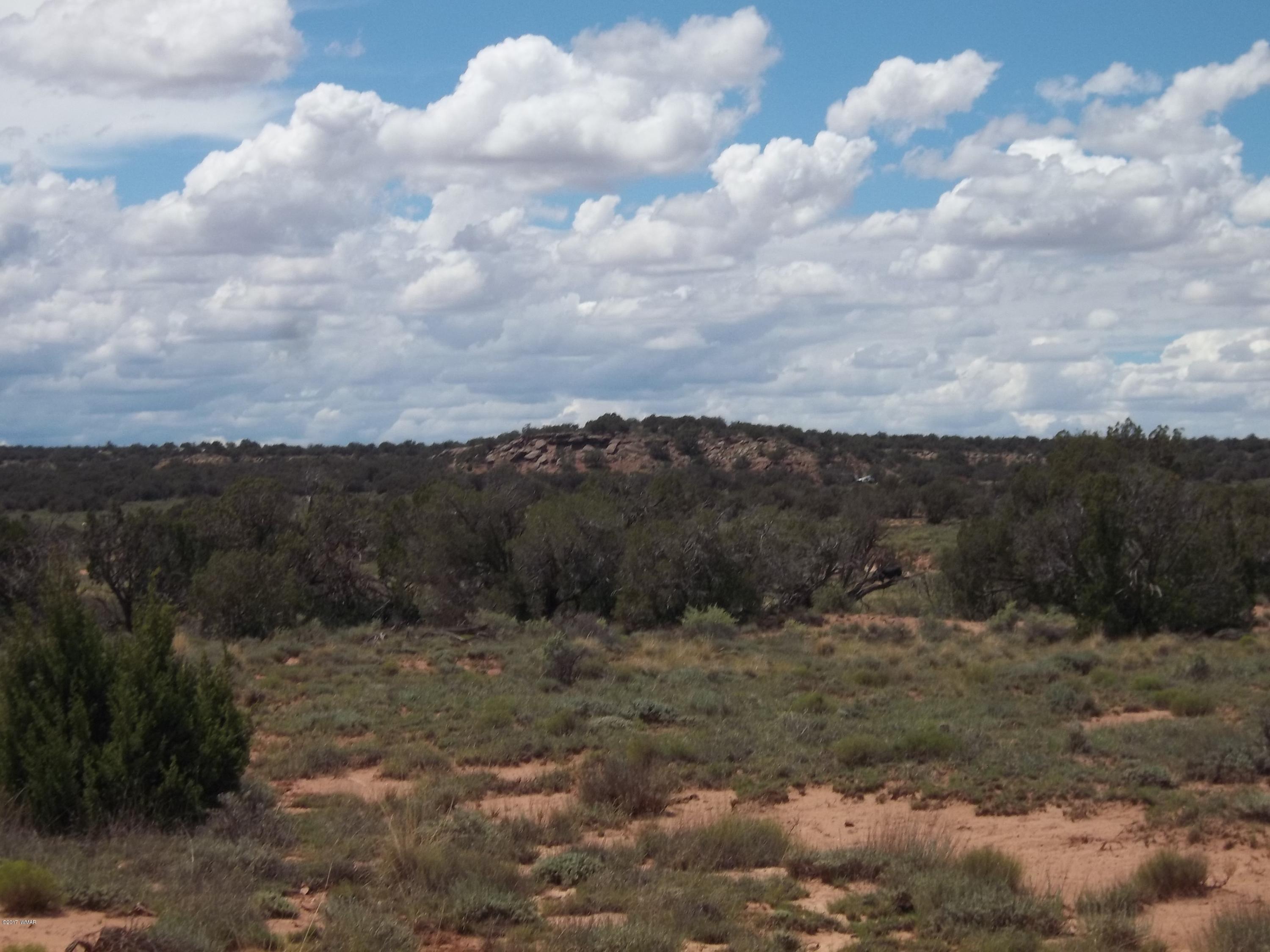 4002 Cortez Road, Unit 4 Snowflake, AZ 85937 - Photo 20 of 29 a view of a yard