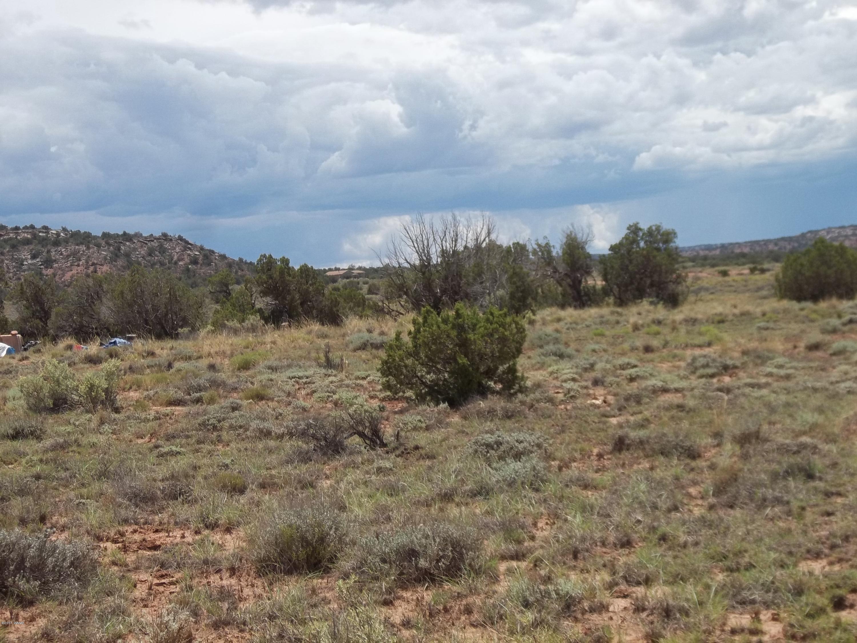 4002 Cortez Road, Unit 4 Snowflake, AZ 85937 - Photo 21 of 29 a view of a dry yard