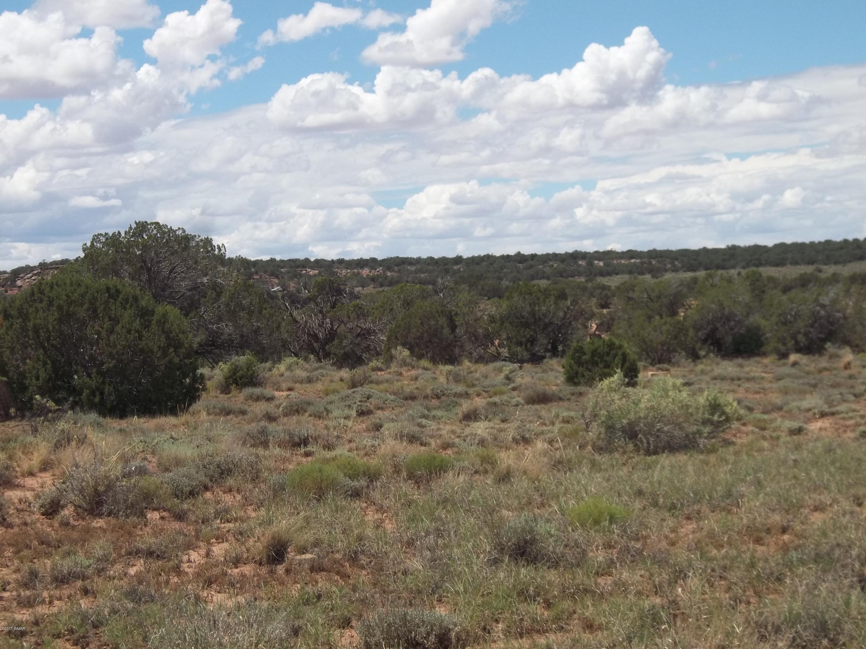 4002 Cortez Road, Unit 4 Snowflake, AZ 85937 - Photo 23 of 29 a view of a dry yard covered with fog