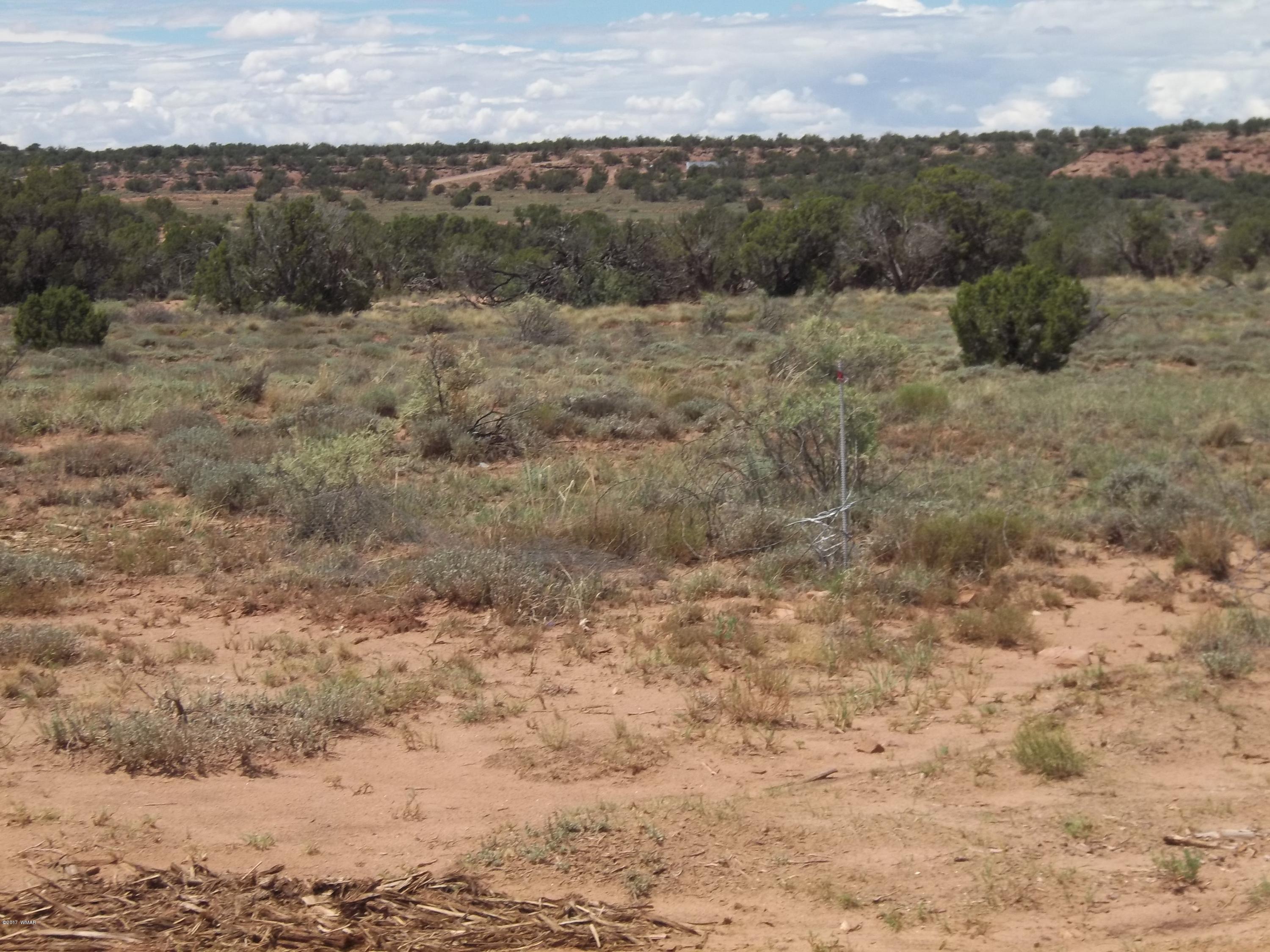 4002 Cortez Road, Unit 4 Snowflake, AZ 85937 - Photo 24 of 29 a view of a dry yard