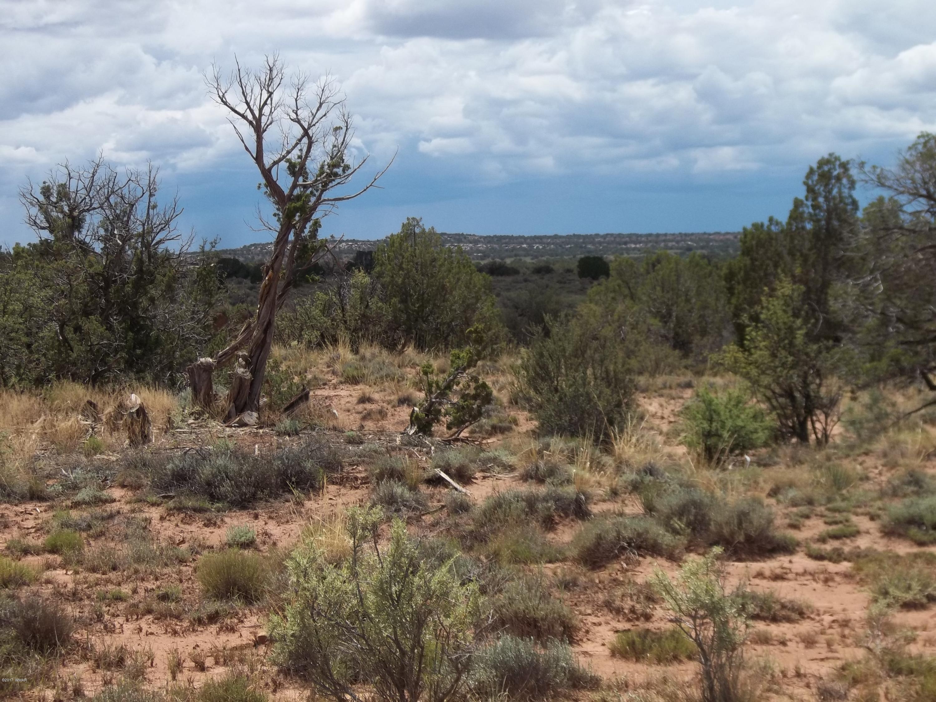4002 Cortez Road, Unit 4 Snowflake, AZ 85937 - Photo 27 of 29 a view of a dry yard with lots of bushes