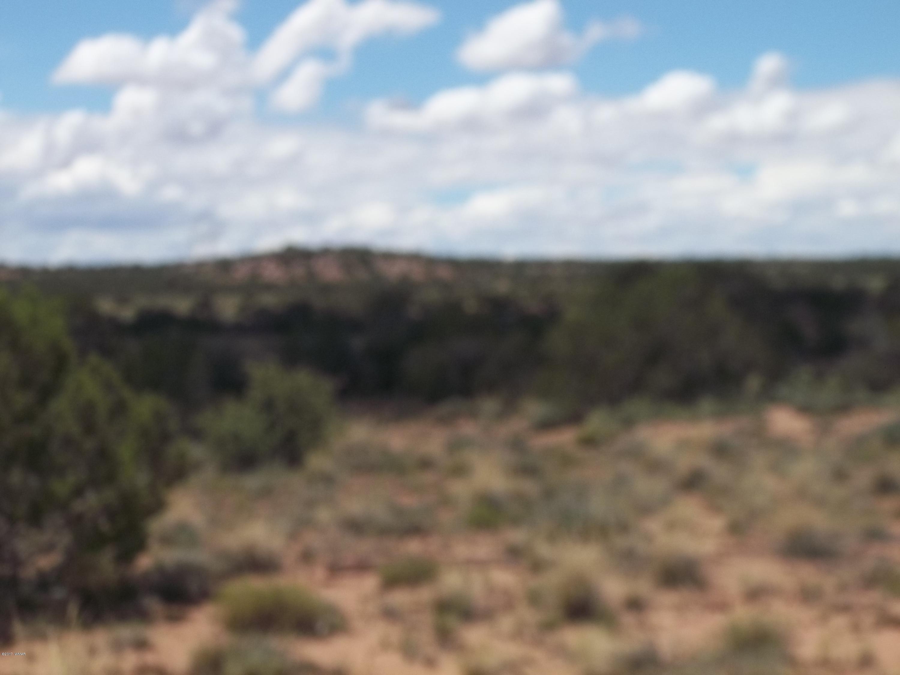 4002 Cortez Road, Unit 4 Snowflake, AZ 85937 - Photo 29 of 29