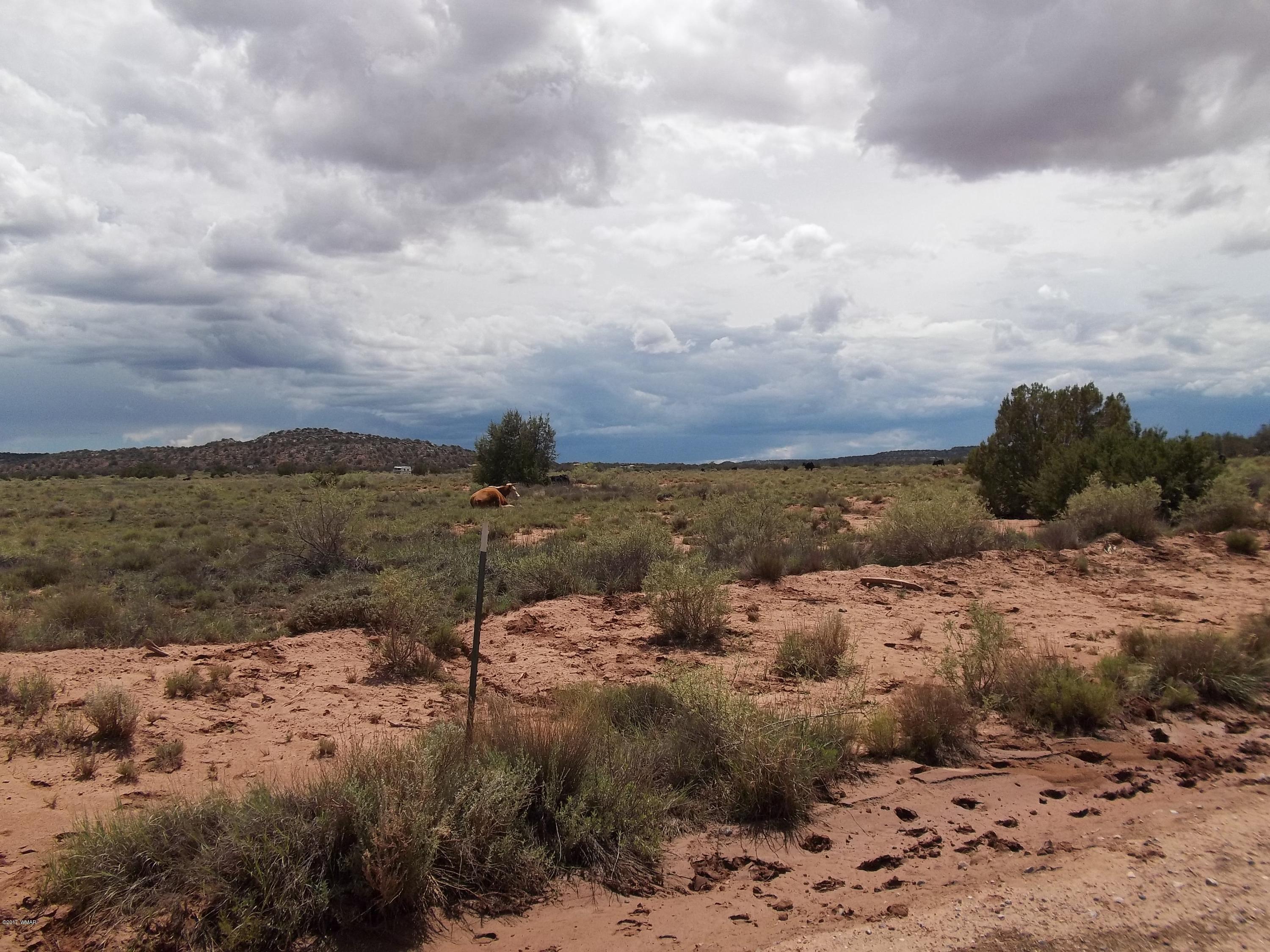 4002 Cortez Road, Unit 4 Snowflake, AZ 85937 - Photo 6 of 29 a view of a dry yard with wooden fence