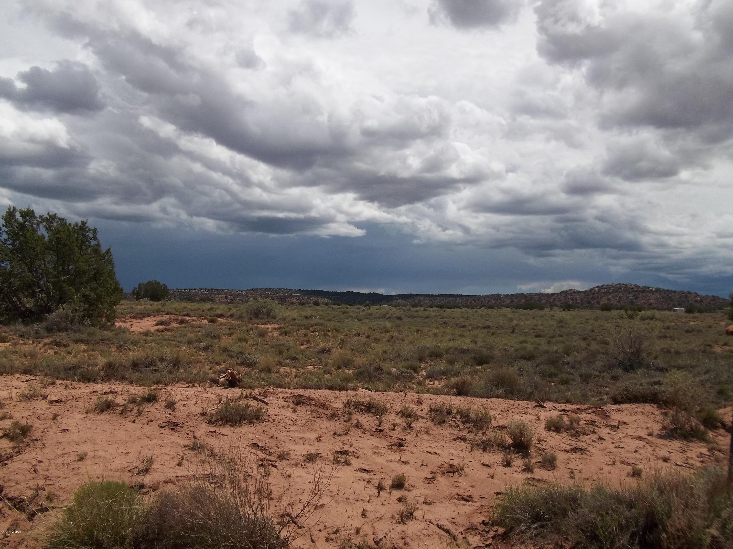 4002 Cortez Road, Unit 4 Snowflake, AZ 85937 - Photo 7 of 29 a view of lake and mountain