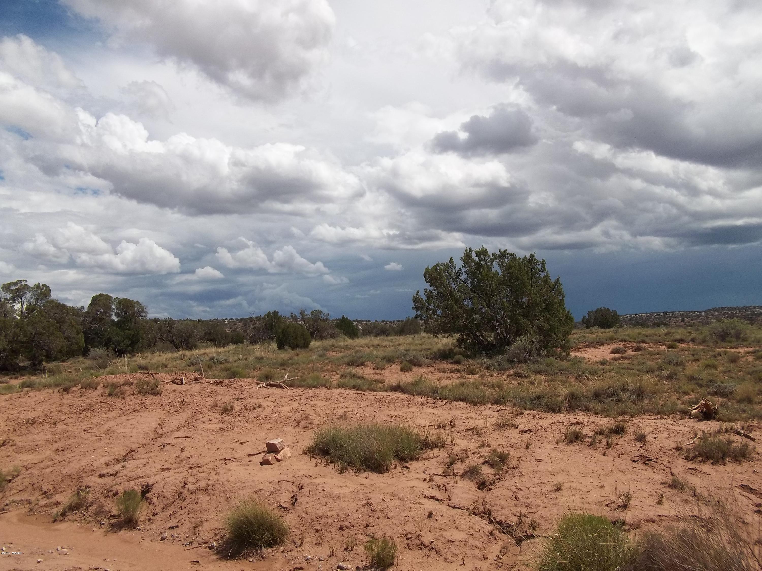 4002 Cortez Road, Unit 4 Snowflake, AZ 85937 - Photo 8 of 29 a view of a dry yard with wooden fence