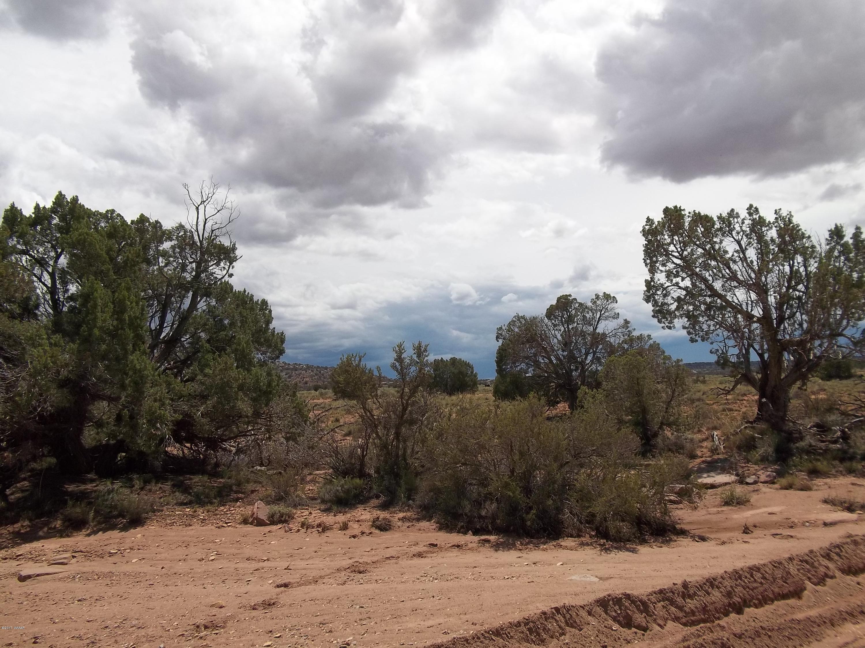 4002 Cortez Road, Unit 4 Snowflake, AZ 85937 - Photo 9 of 29 a view of a dry yard with trees