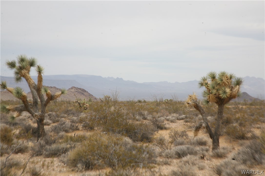 245-18-266 Alan Road Yucca, AZ 86438 - Photo 26 of 54