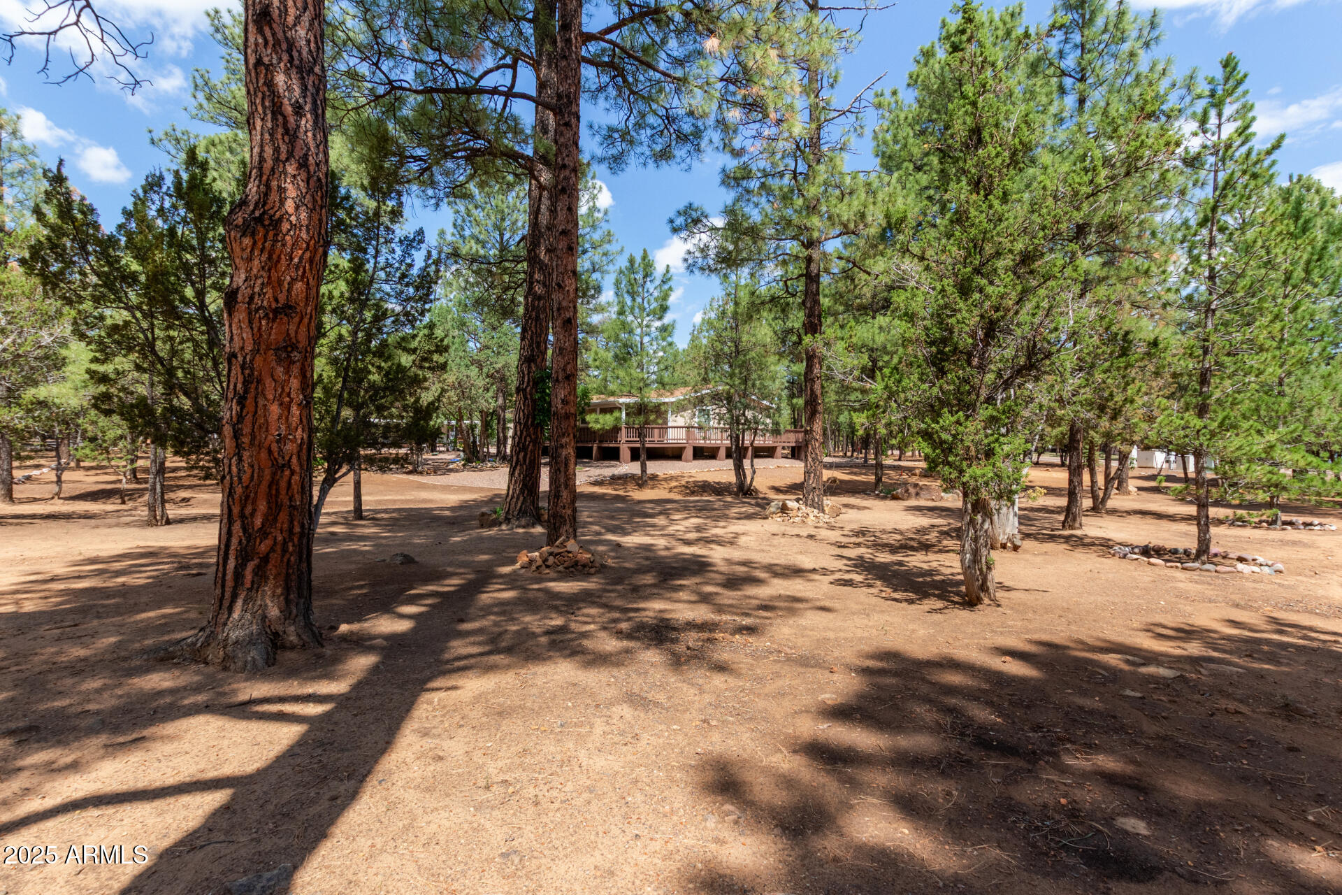 2884 Pine Rim Road Overgaard, AZ 85933 - Photo 3 of 80 03 - Rim