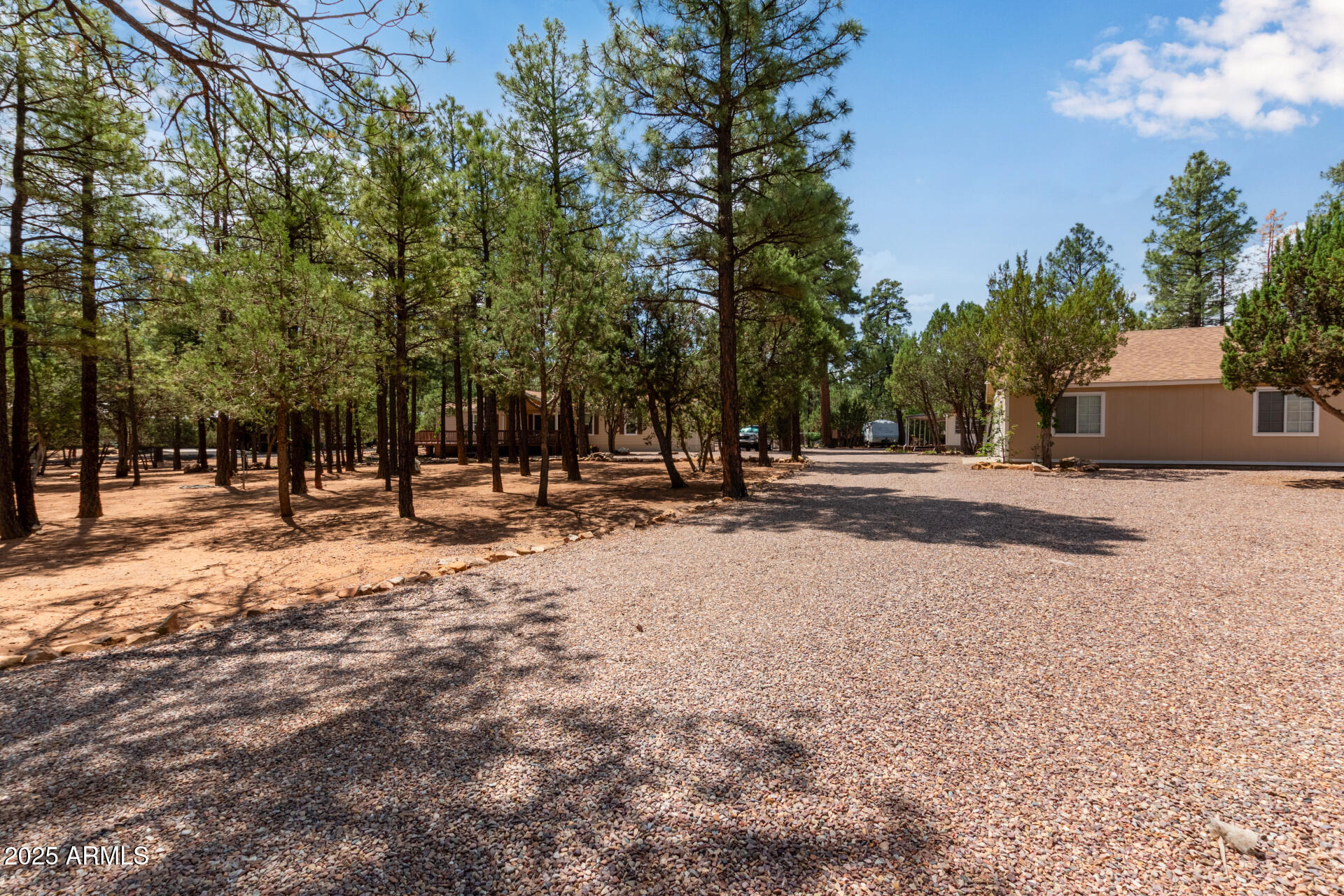 2884 Pine Rim Road Overgaard, AZ 85933 - Photo 40 of 80 41 - Rim