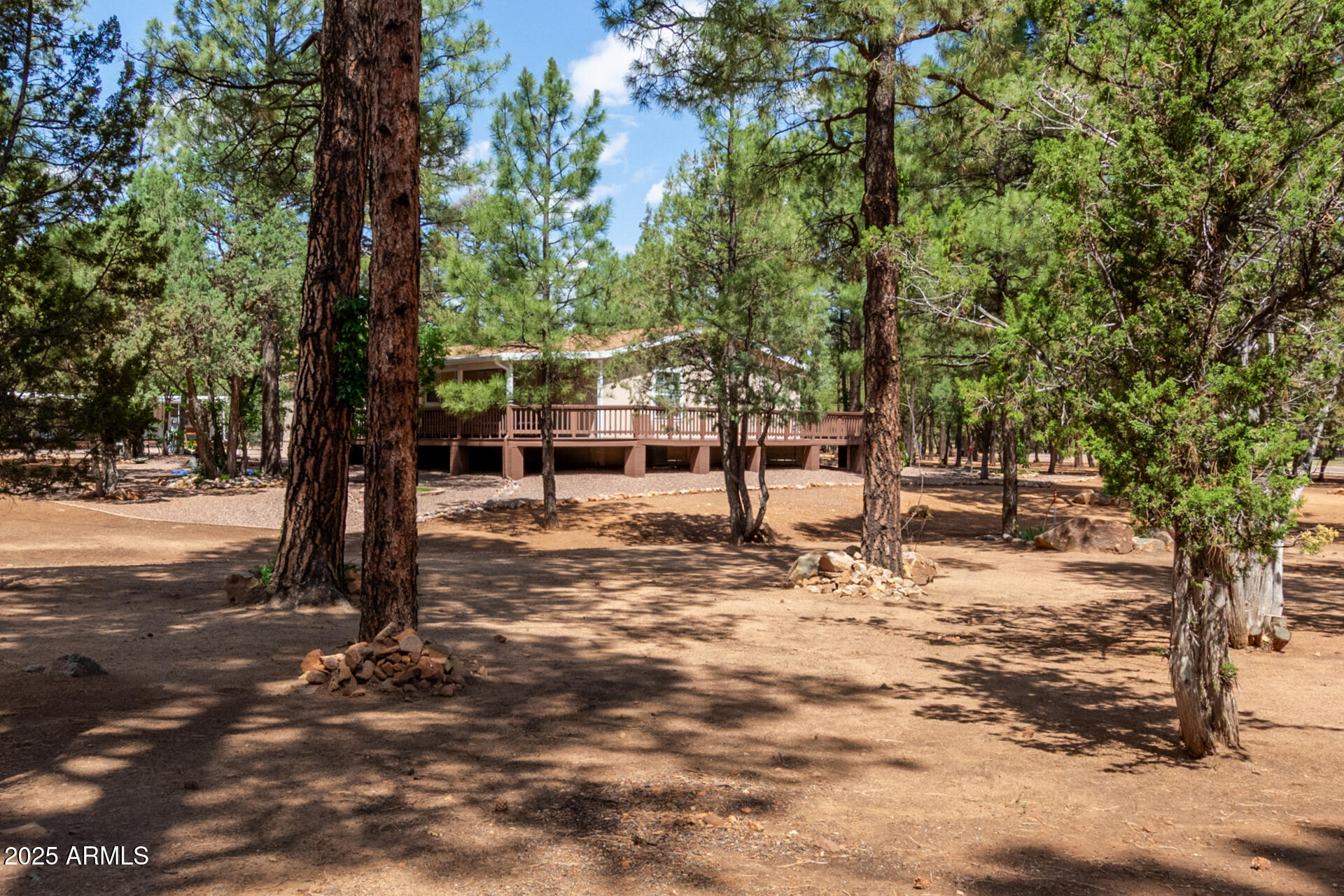 2884 Pine Rim Road Overgaard, AZ 85933 - Photo 4 of 80 04 - Rim