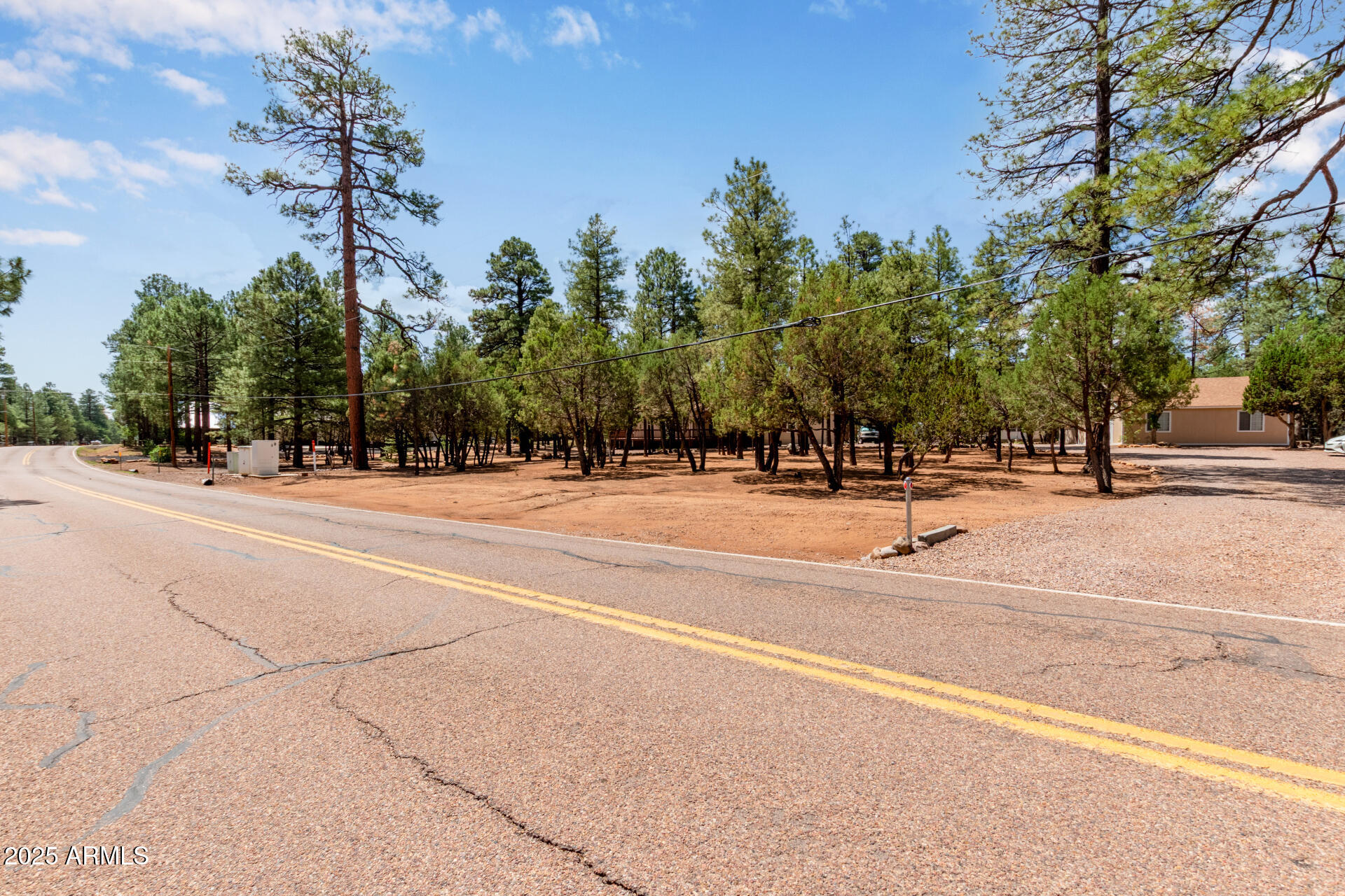 2884 Pine Rim Road Overgaard, AZ 85933 - Photo 41 of 80 42 - Rim